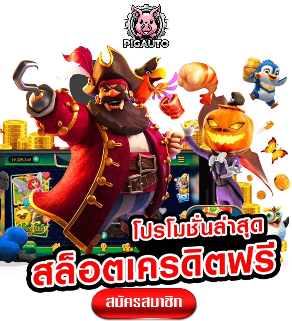 pigauto-ทางเข้า